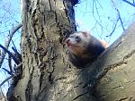     
: DSC09822.JPG
: 51
:	183.5 
ID:	1884047