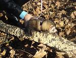     
: DSC09784.jpg
: 59
:	226.4 
ID:	1884048