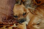     
: Лето 2010 дача, дом 006.jpg
: 36
:	121.6 
ID:	1884118