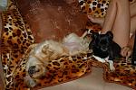     
: Лето 2010 дача, дом 058.jpg
: 41
:	134.2 
ID:	1884120