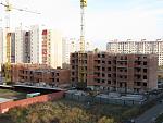     
: IMG_5342.JPG
: 79
:	140.2 
ID:	1884329
