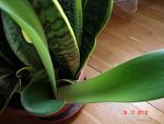     
: DSC05676.jpg
: 13
:	80.6 
ID:	1886543