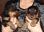     
: Untitled-1 copy.jpg
: 22
:	189.2 
ID:	1886545