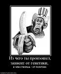    
: 772484_iz-chego-tyi-proizoshel-zavisit-ot-genetiki-.jpg
: 61
:	38.7 
ID:	1888155