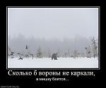     
: 772427_skolko-b-voronyi-ne-karkali-.jpg
: 60
:	37.9 
ID:	1888158