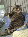     
: IMG_2671.jpg
: 37
:	140.7 
ID:	1888563