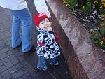     
: DSC04154.JPG
: 69
:	224.8 
ID:	1889223