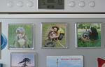     
: DSC09175.jpg
: 59
:	86.8 
ID:	1890568