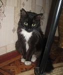     
: IMG_1639.jpg
: 18
:	93.5 
ID:	1892635