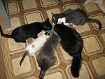     
: IMG_7282.jpg
: 117
:	180.5 
ID:	1893053