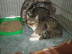     
: IMG_2672.jpg
: 30
:	192.5 
ID:	1893183