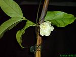     
: DSC00309.jpg
: 27
:	91.4 
ID:	1893326