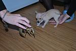     
: DSC_0670.jpg
: 80
:	97.5 
ID:	1894359