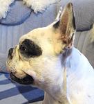     
: IMG_1992.jpg
: 10
:	98.6 
ID:	1894448