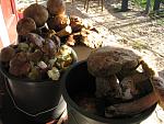     
: IMG_2139.jpg
: 56
:	218.9 
ID:	1895528