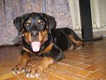     
: P1010200.jpg
: 14
:	170.2 
ID:	1895903