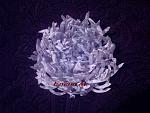     
: PICT0373.jpg
: 29
:	160.7 
ID:	1898096