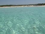     
: IMG_3584.jpg
: 21
:	135.5 
ID:	1898983