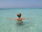     
: IMG_3503.jpg
: 34
:	96.1 
ID:	1899695