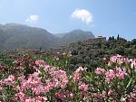     
: IMG_2978.jpg
: 20
:	214.1 
ID:	1899697