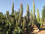     
: IMG_3380.jpg
: 14
:	218.5 
ID:	1899745