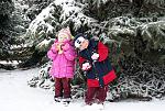     
: IMG_4413.jpg
: 23
:	276.1 
ID:	1901325