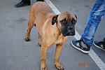     
: DSC_3510.jpg
: 95
:	126.1 
ID:	1901656