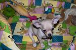     
: DSC_0790.jpg
: 56
:	117.9 
ID:	1901666