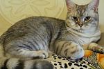     
: IMG_5793.jpg
: 18
:	101.6 
ID:	1901730