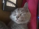     
: Foto0302_800.jpg
: 56
:	60.3 
ID:	1903717