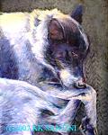     
: Cattle-dog-rag-rug-pet-portrait-dog-painting.jpg
: 24
:	51.8 
ID:	1903898