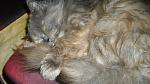     
: IMGP2089.jpg
: 28
:	127.9 
ID:	1905062
