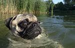     
: 1275850423_pod_2.jpg
: 35
:	42.5 
ID:	1906615