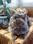     
: DSC00037.jpg
: 15
:	174.8 
ID:	1910287