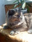     
: DSC00041.jpg
: 13
:	132.1 
ID:	1910291
