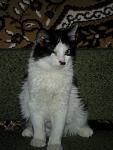    
: SAM_0047.JPG
: 92
:	133.3 
ID:	1910486