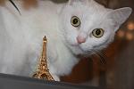     
: IMG_0126.jpg
: 1
:	74.7 
ID:	1912278