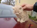     
: DSC05727.jpg
: 162
:	97.6 
ID:	1914792