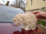     
: DSC05726.jpg
: 118
:	111.3 
ID:	1914793