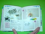     
: DSC00047.JPG
: 21
:	147.3 
ID:	1915656