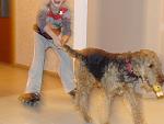     
: DSC00509.jpg
: 29
:	104.4 
ID:	1922717