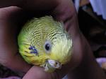    
: Фото0234.jpg
: 133
:	67.5 
ID:	1926565