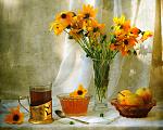     
: 55510144_48097277_9705111.jpg
: 79
:	216.0 
ID:	1927059