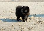     
: DSC_7435.jpg
: 52
:	113.1 
ID:	1927838