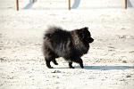     
: DSC_7458.jpg
: 50
:	71.3 
ID:	1927839