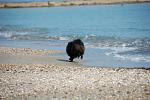     
: DSC_7469.jpg
: 44
:	74.1 
ID:	1927841