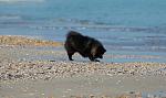     
: DSC_7470.jpg
: 42
:	101.0 
ID:	1927842