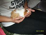     
: 100_2333.jpg
: 71
:	111.9 
ID:	1928264