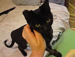     
: DSC00601.jpg
: 25
:	87.4 
ID:	1928844