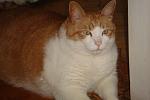     
: DSC02712.jpg
: 25
:	85.3 
ID:	1933623